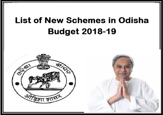budget Odisha